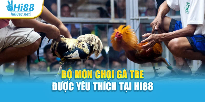 Bộ môn chọi gà tre được yêu thích tại Hi88