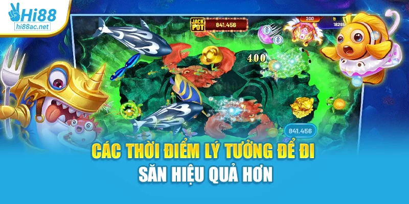 Các thời điểm lý tưởng để đi săn hiệu quả hơn