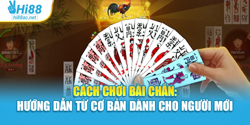 Cách Chơi Bài Chắn: Hướng Dẫn Từ Cơ Bản Dành Cho Người Mới