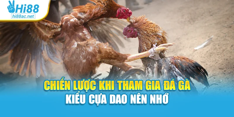 Chiến lược khi tham gia đá gà kiểu cựa dao nên nhớ