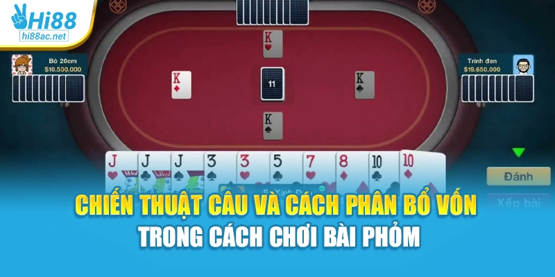Chiến thuật câu và cách phân bổ vốn trong cách chơi bài phỏm