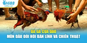 Đá Gà Cựa Dao – Môn Đấu Đòi Hỏi Bản Lĩnh Và Chiến Thuật