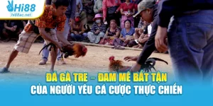 Đá Gà Tre – Đam Mê Bất Tận Của Người Yêu Cá Cược Thực Chiến