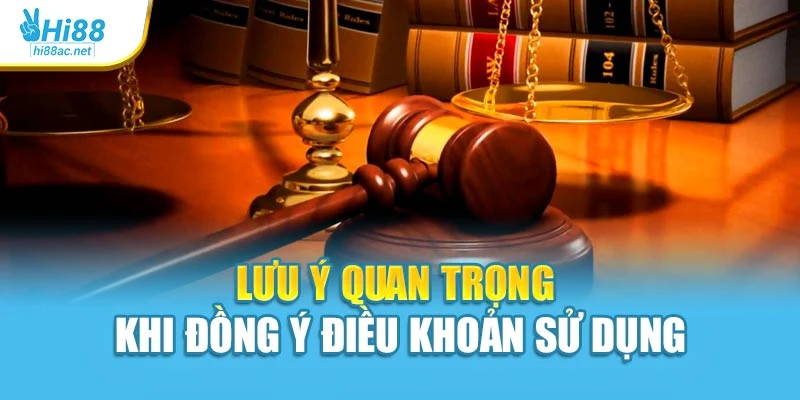 Lưu ý quan trọng khi đồng ý điều khoản sử dụng
