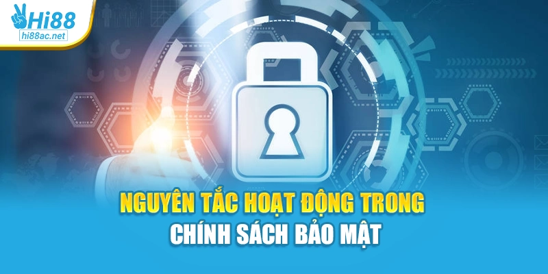 Nguyên tắc hoạt động trong chính sách bảo mật